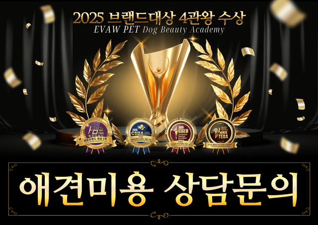 애견미용 상담문의