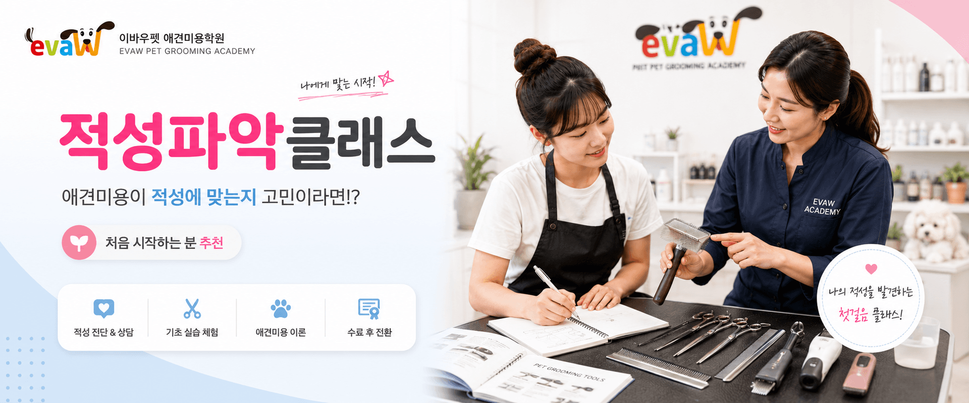 이바우펫 애견미용학원 자격증취득 보장반
