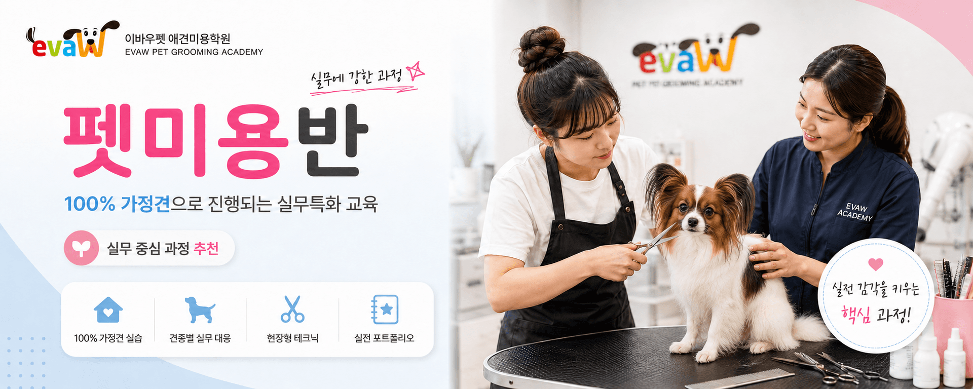 이바우펫 애견미용학원 펫미용반