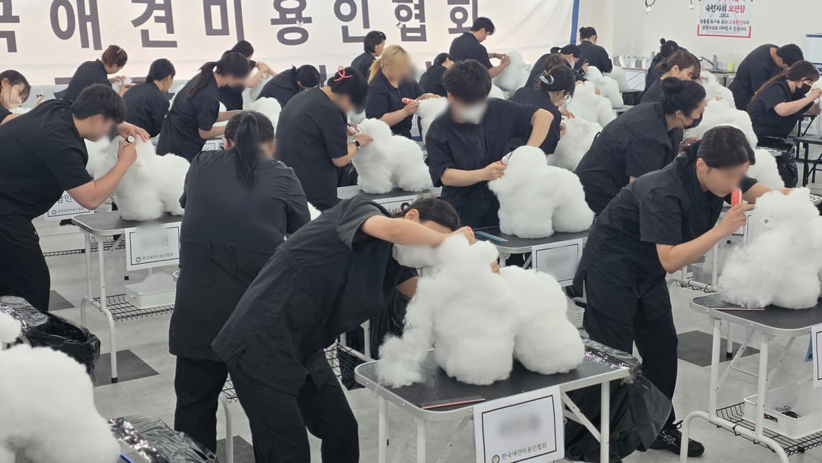 청주-애견미용학원-비용