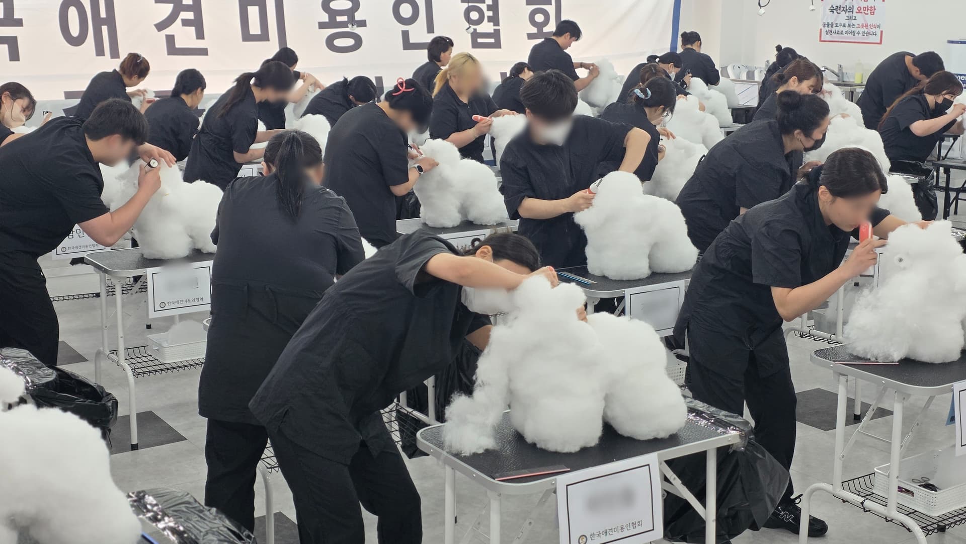 청주-애견미용학원-비용