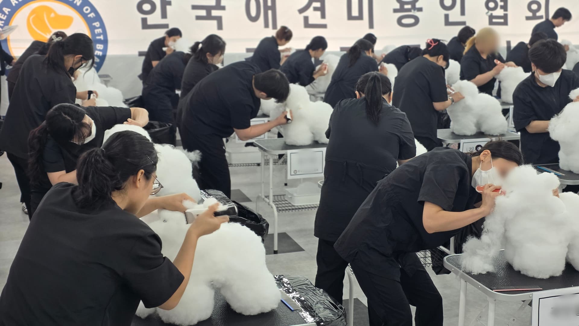 김포 애견미용학원 자격증