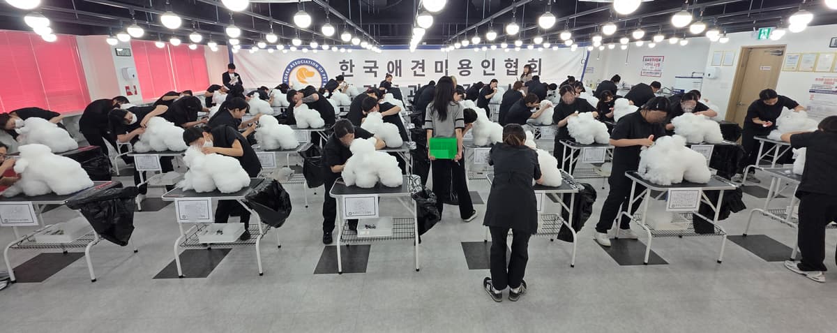 안산 애견미용학원 국비지원