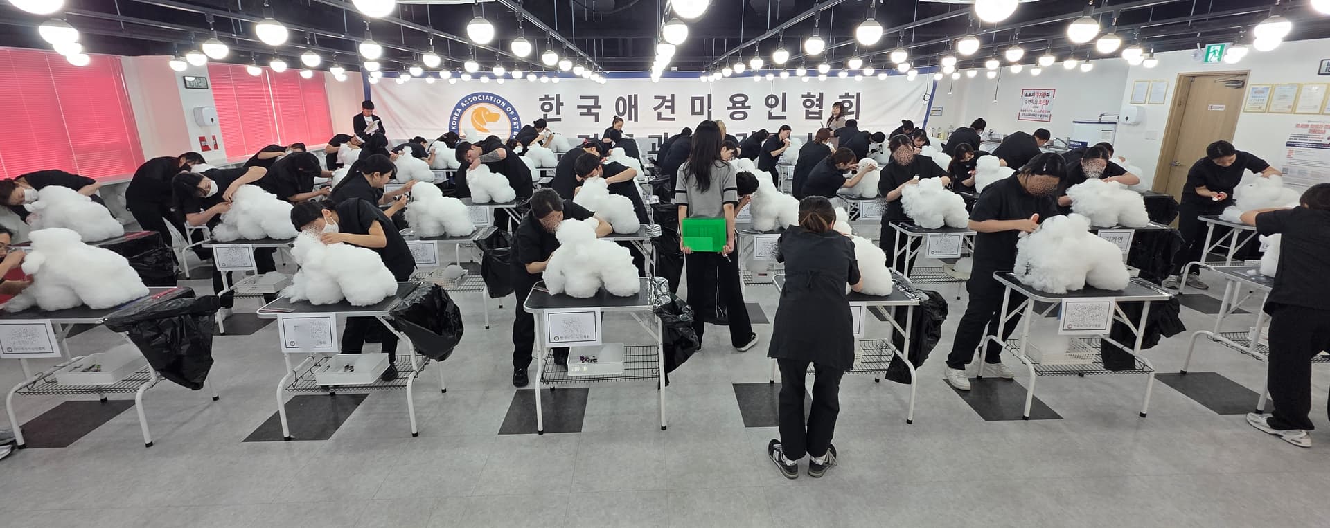 안산 애견미용학원 국비지원