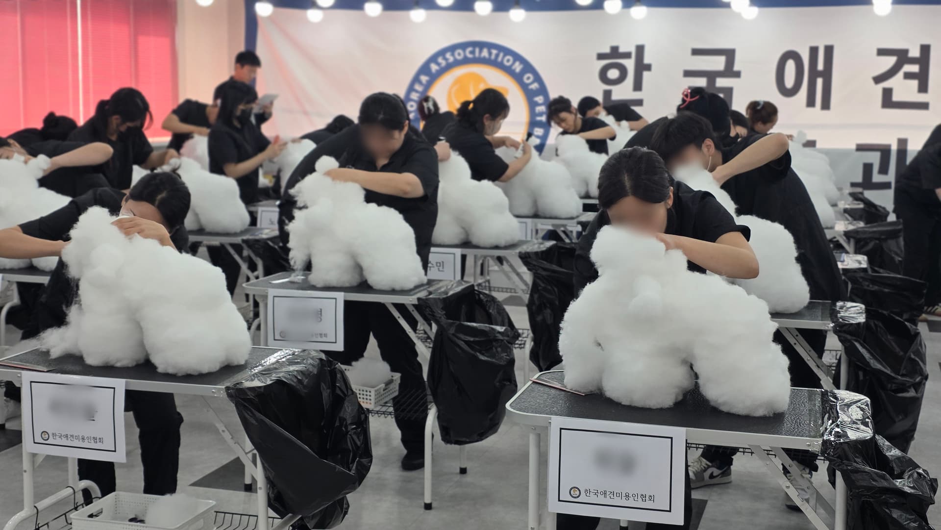 애견미용자격증