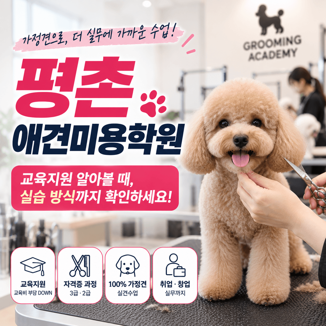 평촌애견미용학원