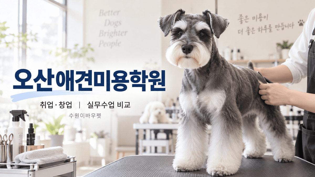 오산애견미용학원