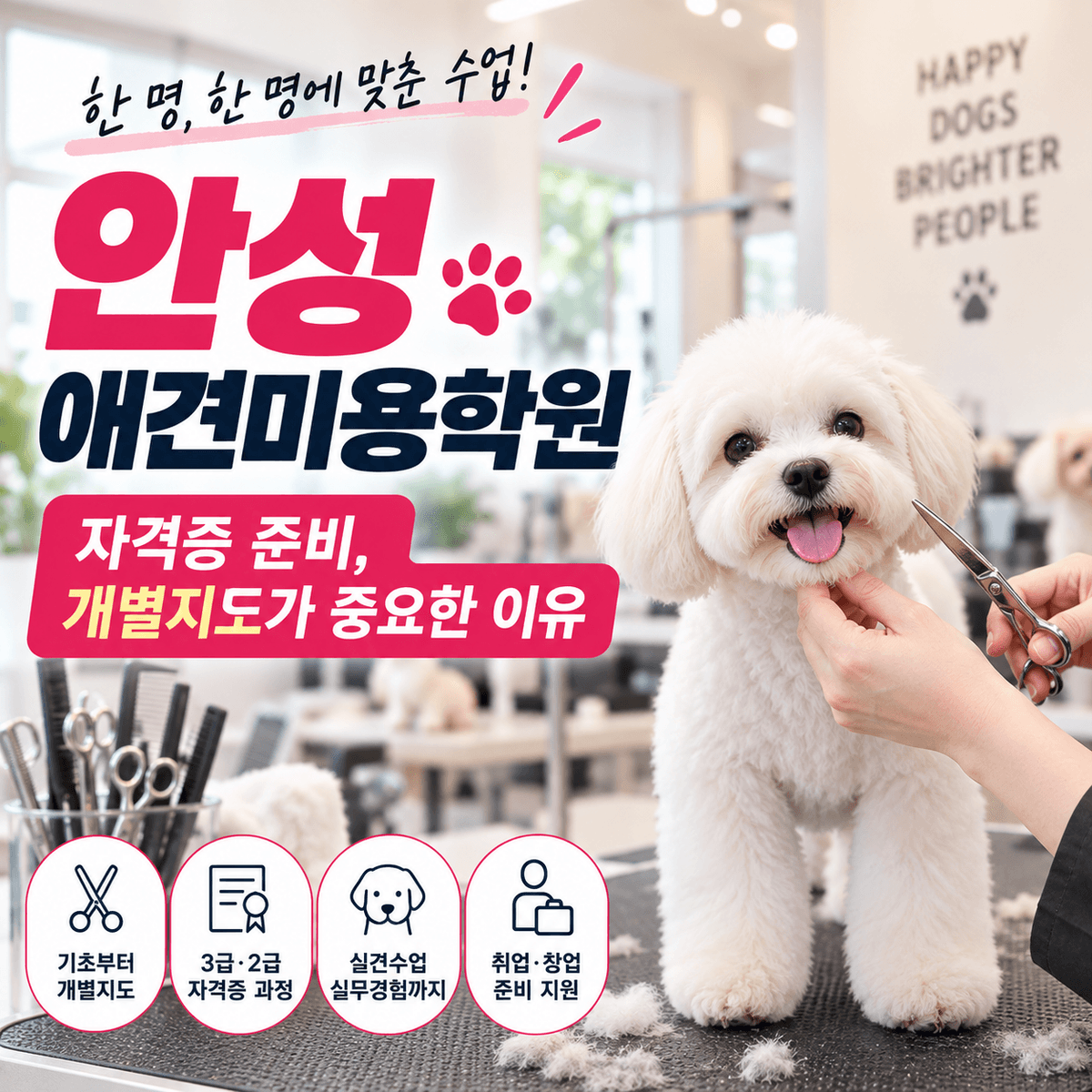 안성애견미용학원